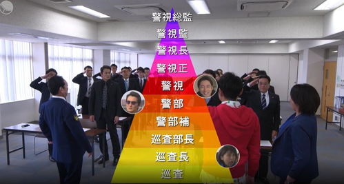 警視廳零系 生活安全科萬能咨詢室 第五季 數據處理服務